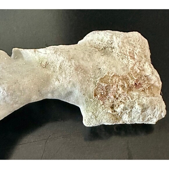 Natural San Blas Beach-Collected Coral Souvenir Caribbean Coastal Home Decor - Picture 5 of 12